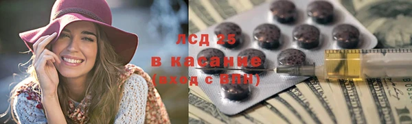PSILOCYBIN Белокуриха