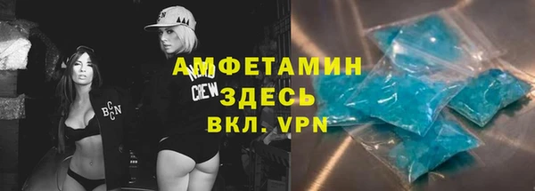 PSILOCYBIN Белокуриха