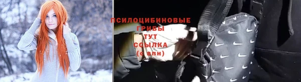 PSILOCYBIN Белокуриха