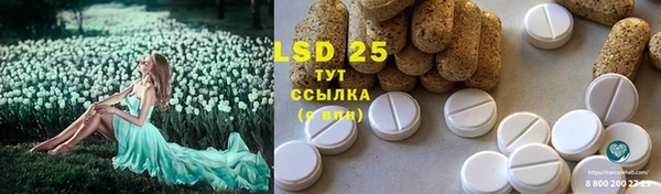PSILOCYBIN Белокуриха